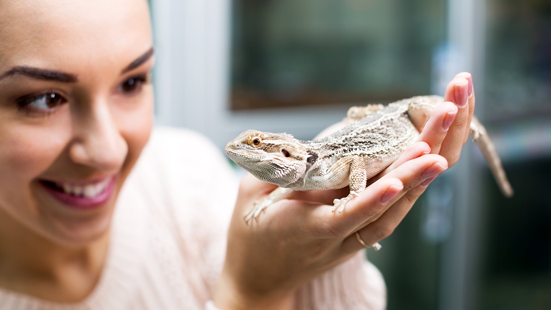Women hold stunning chameleon