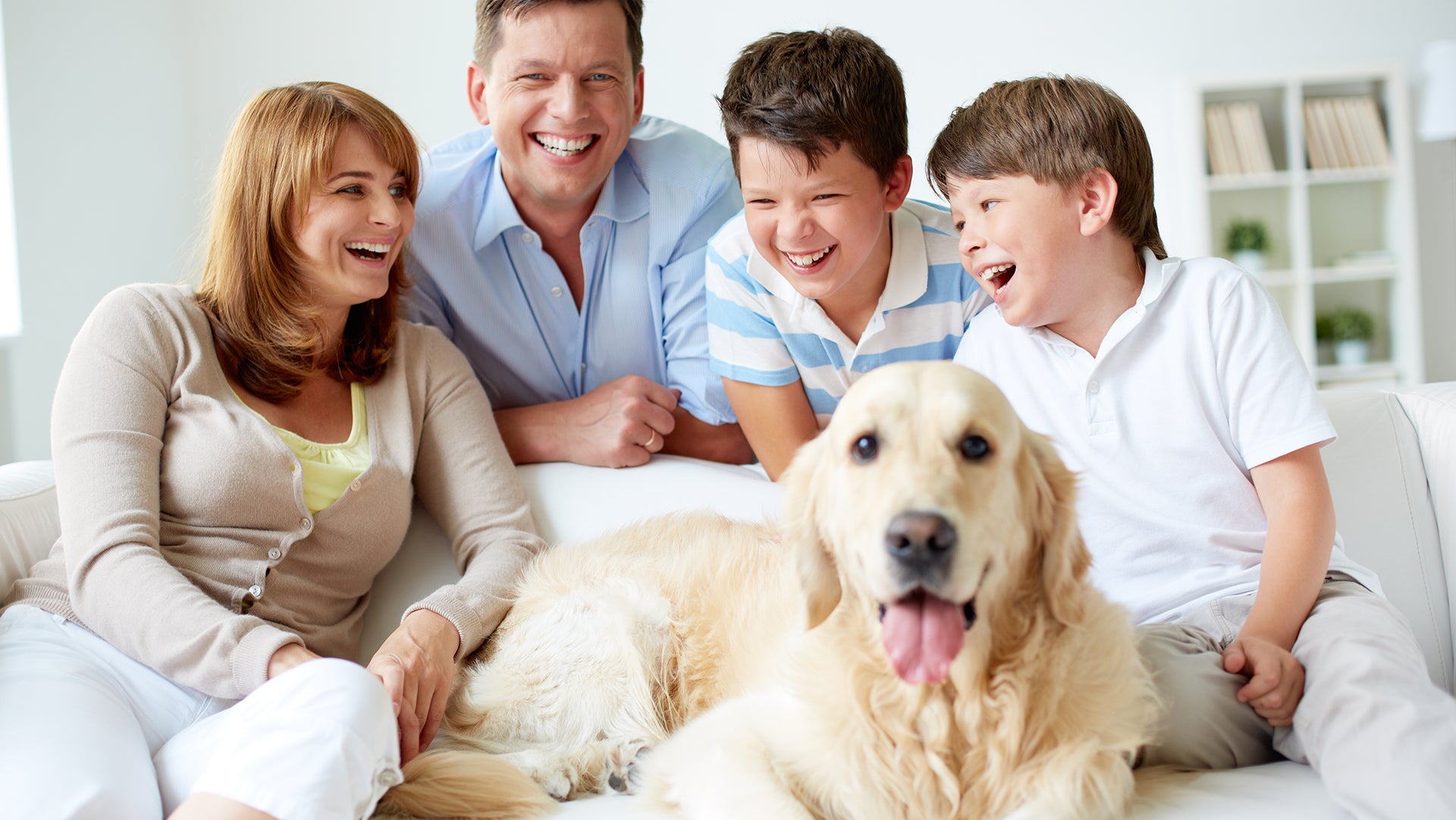 Pet is one of the family member