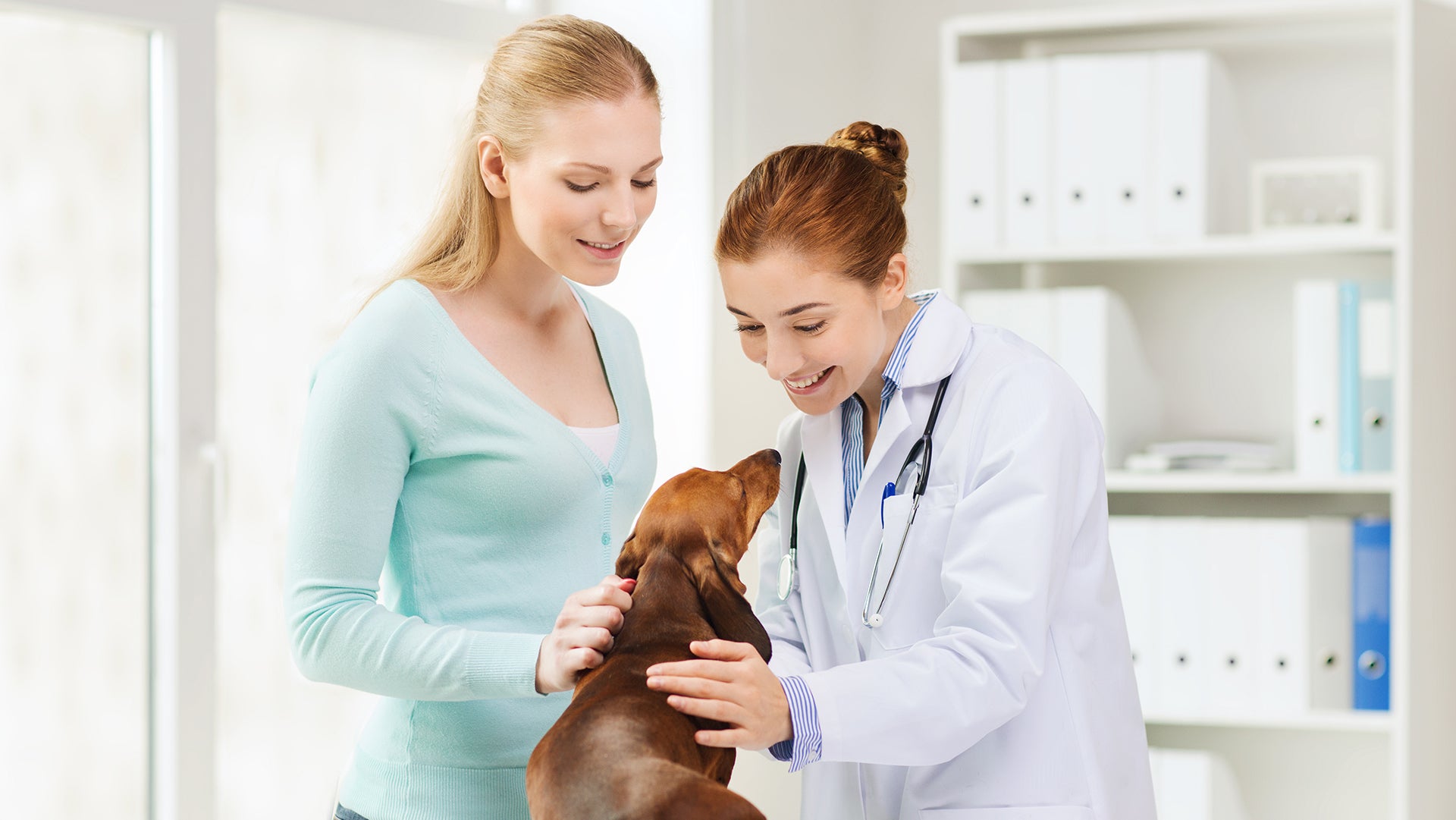 Giving treatment for pet